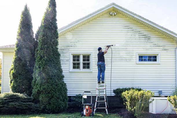 Professional Pressure Washing in Nicholson, MS